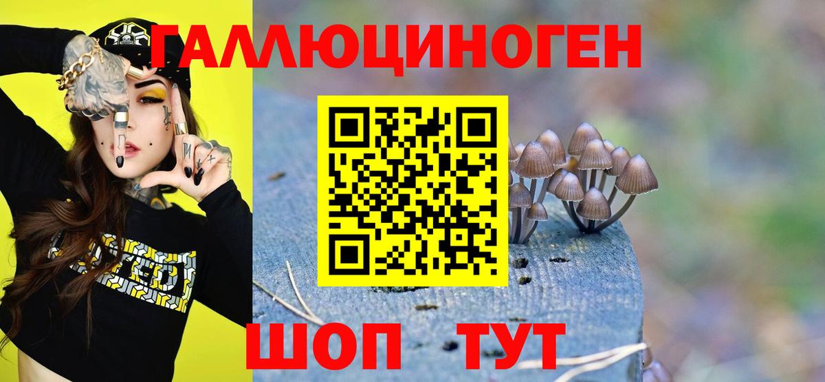 Псилоцибиновые грибы мухоморы Беслан
